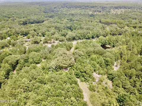 3904 River Rd, Vernon, FL 32462 photo 10