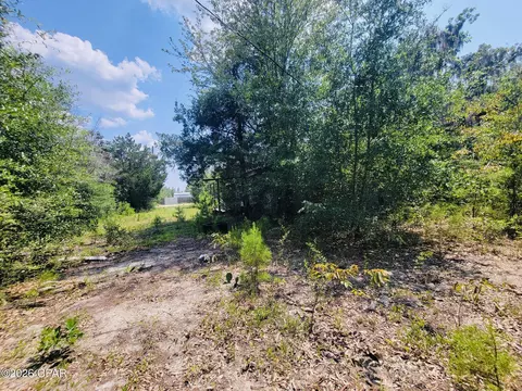 7157 NW Porter Grade Rd, Altha, FL 32421 photo 9