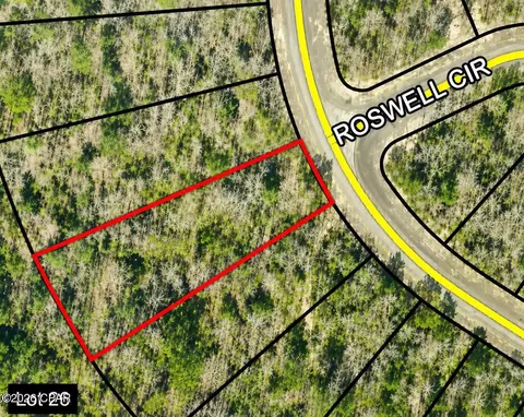 000 Rosetta Dr #27, Chipley, FL 32428 photo 6