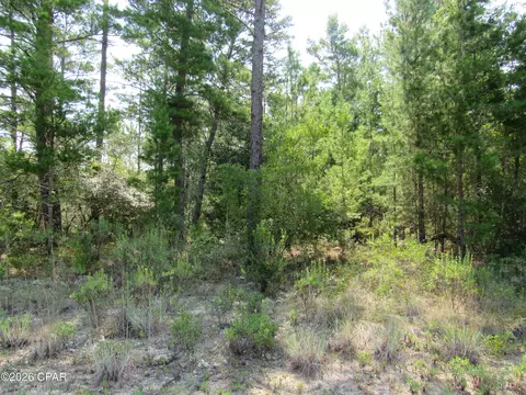 tbd Pinehurst Ave, Chipley, FL 32428 photo 2