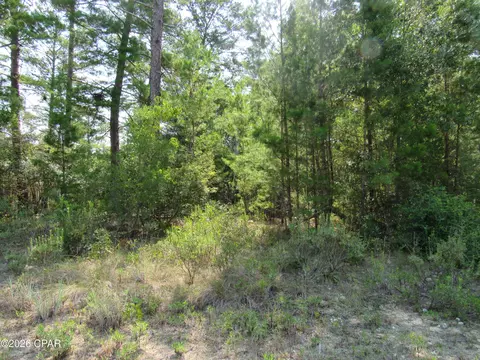 tbd Pinehurst Ave, Chipley, FL 32428 photo 3