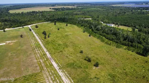 0 Bailey Cemetery Rd, Altha, FL 32421 photo 4