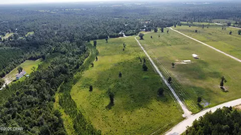 0 Bailey Cemetery Rd, Altha, FL 32421 photo 11