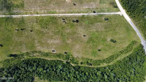0 Bailey Cemetery Rd, Altha, FL 32421 photo 13