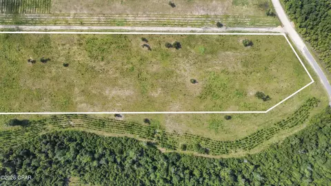 0 Bailey Cemetery Rd, Altha, FL 32421 photo 8