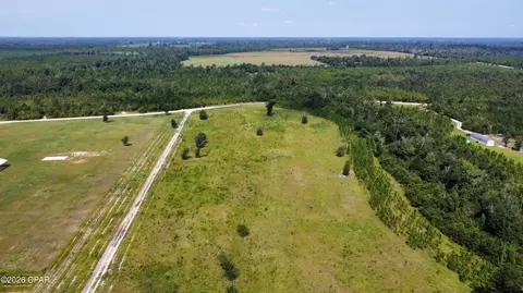 0 Bailey Cemetery Rd, Altha, FL 32421 photo 6