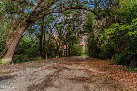 tbd Highway 90, Grand Ridge, FL 32442