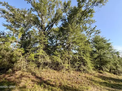 lot26 Grove Ln, Marianna, FL 32448