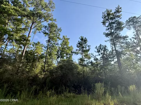 lot4 Black Hills St, Alford, FL 32420