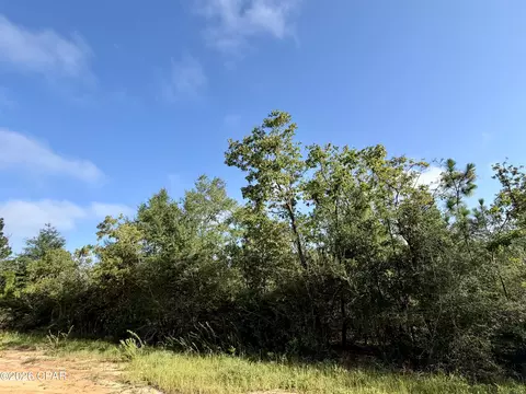 lot S 2 3 Rincon St, Alford, FL 32420