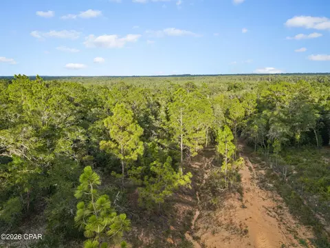 000000 Rio Vista Rd, Chipley, FL 32428 photo 15