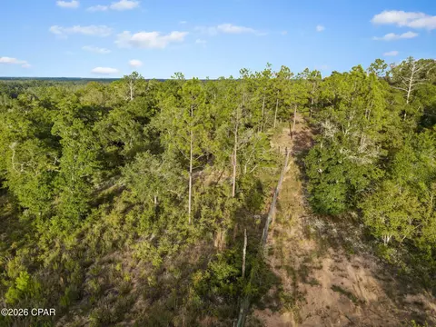 000000 Rio Vista Rd, Chipley, FL 32428 photo 17