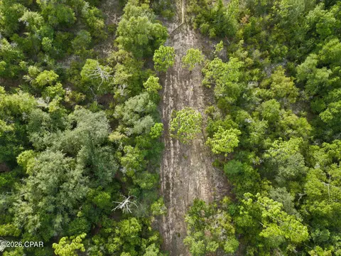 000000 Rio Vista Rd, Chipley, FL 32428 photo 16