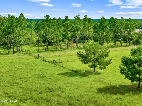 1979 Mutual Rd, Cottondale, FL 32431 photo 10