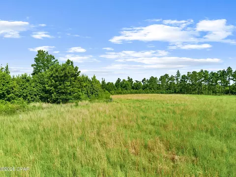 1979 Mutual Rd, Cottondale, FL 32431 photo 19