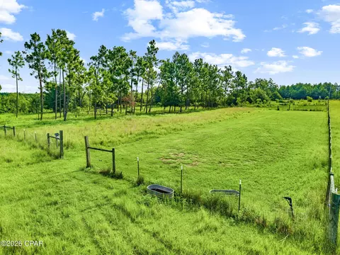 1979 Mutual Rd, Cottondale, FL 32431 photo 9