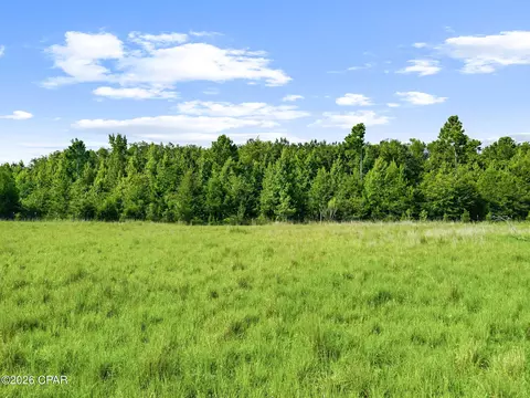 1979 Mutual Rd, Cottondale, FL 32431 photo 20