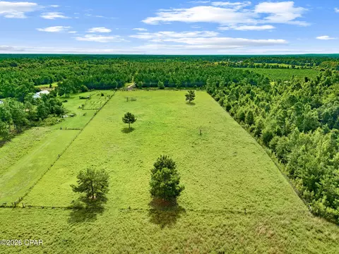 1979 Mutual Rd, Cottondale, FL 32431 photo 6