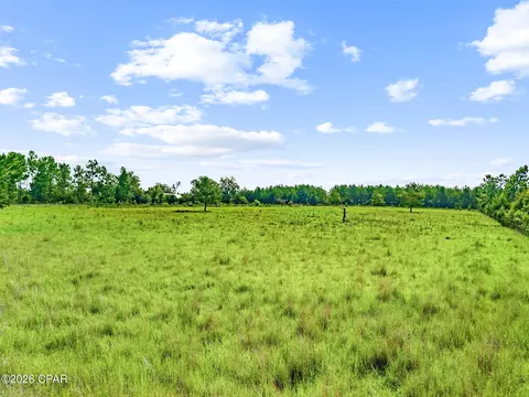 1979 Mutual Rd, Cottondale, FL 32431 photo 17