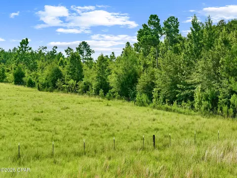 1979 Mutual Rd, Cottondale, FL 32431 photo 23