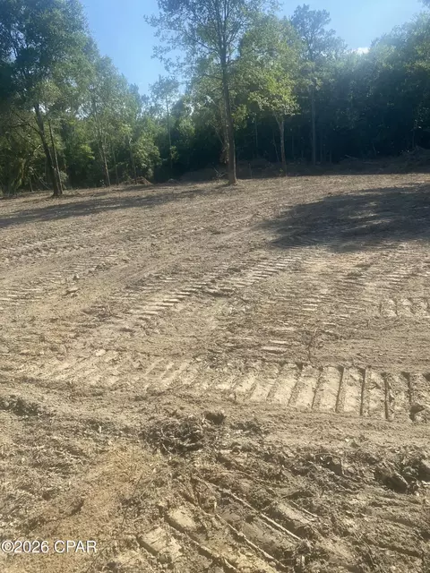 Lot 54 Reedy Creek Crossing #54, Westville, FL 32464