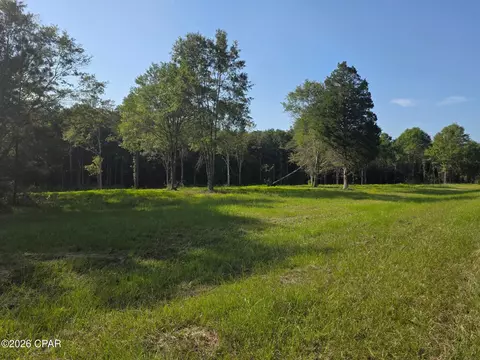 Lot 54 Reedy Creek Crossing #54, Westville, FL 32464