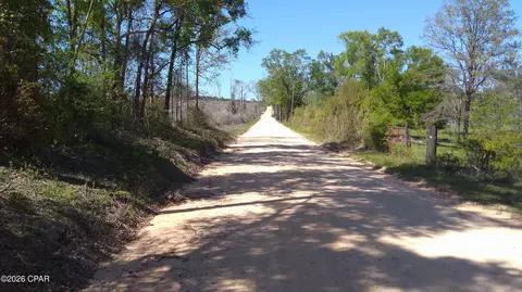 0 Alton Ln, Chipley, FL 32428 photo 8