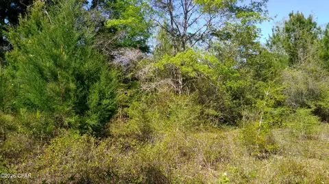 0 Alton Ln, Chipley, FL 32428 photo 7