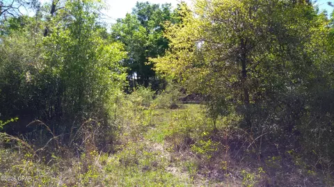 0 Alton Ln, Chipley, FL 32428 photo 6