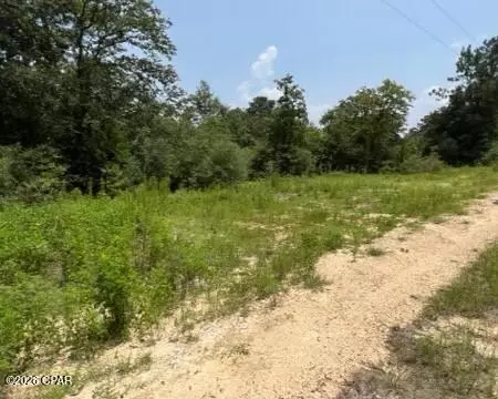 0 Alton Ln, Chipley, FL 32428 photo 3