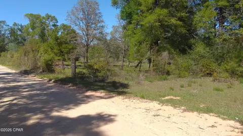 0 Alton Ln, Chipley, FL 32428 photo 9