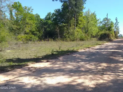 0 Alton Ln, Chipley, FL 32428 photo 4