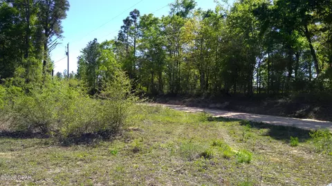0 Alton Ln, Chipley, FL 32428 photo 5