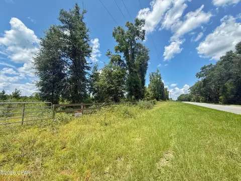 0 Peanut Rd, Cottondale, FL 32431 photo 7
