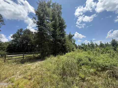 0 Peanut Rd, Cottondale, FL 32431 photo 2
