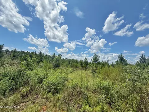 0 Peanut Rd, Cottondale, FL 32431 photo 4
