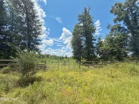 0 Peanut Rd, Cottondale, FL 32431 photo 8
