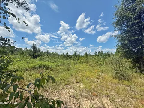 0 Peanut Rd, Cottondale, FL 32431 photo 5