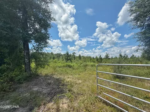 0 Peanut Rd, Cottondale, FL 32431 photo 6