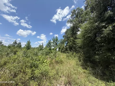 0 Peanut Rd, Cottondale, FL 32431 photo 3