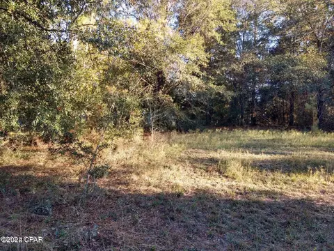 00 Marian Dr, Bonifay, FL 32425