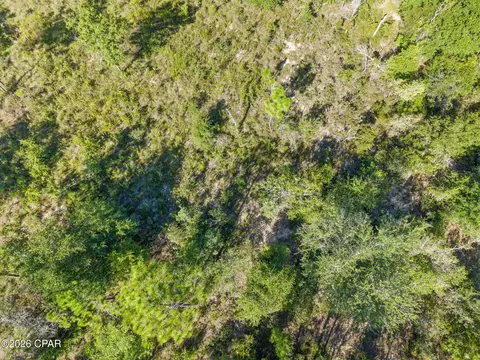 NNN Cavalier Drive #14, Chipley, FL 32428 photo 14