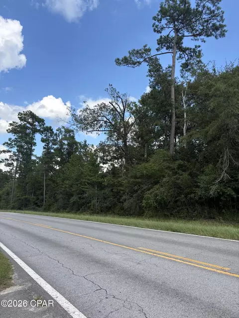 0 Kynesville Rd, Cottondale, FL 32431 photo 4