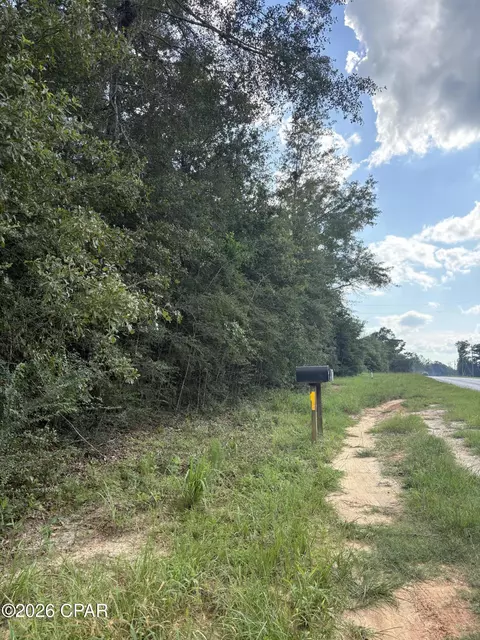 0 Kynesville Rd, Cottondale, FL 32431 photo 5