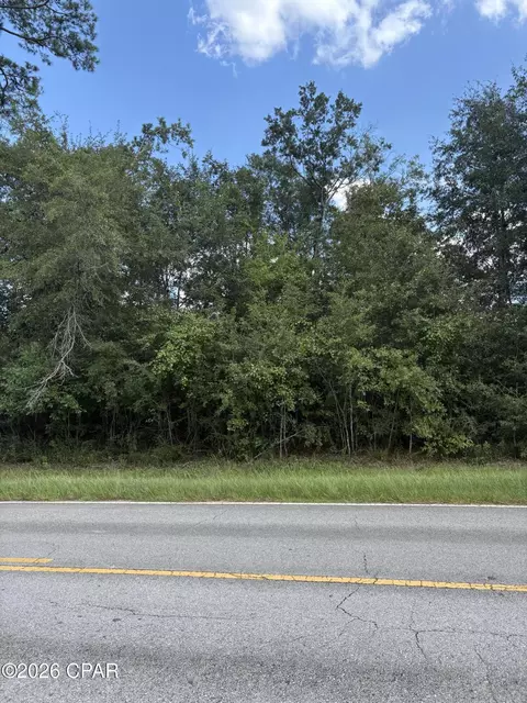 0 Kynesville Rd, Cottondale, FL 32431 photo 3