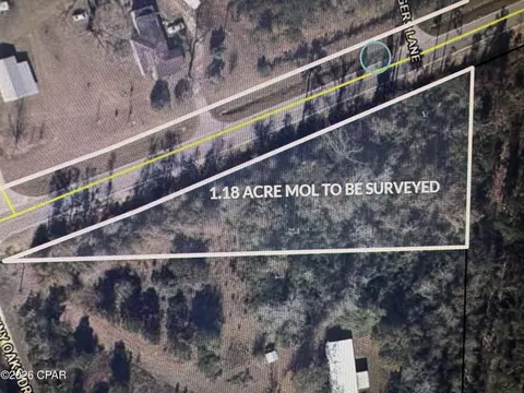 0 Kynesville Rd, Cottondale, FL 32431 photo 6