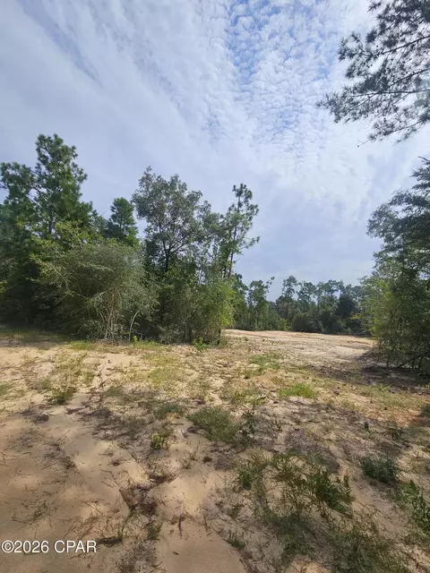 1225 Alene Dr, Alford, FL 32420