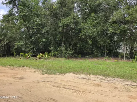 Exterior - 3445 Cardinal Pl, Chipley, FL 32428 photo 8 of 19