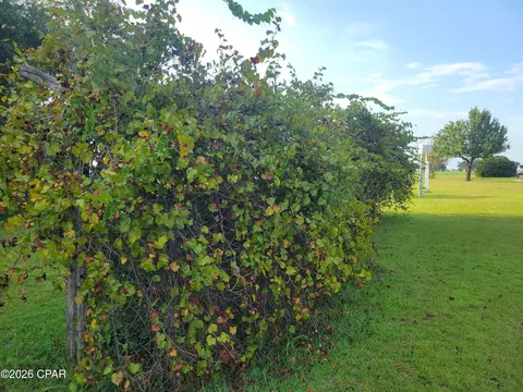 Other - 5081 8th Ave, Malone, FL 32445 photo 6 of 7