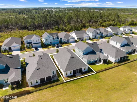 View/Area - 120 Suwannee Dr, Watersound, FL 32461 photo 3 of 11